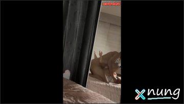 คลิปที่โอลี่แฟน pitchytd ปรากฏภาพน้องเบลสาวสวยที่ได้รับความนิยมเข้าได้ถึงผู้ชายคนหนึ่งจับจูบแผ่นหีอย่างแรง ก่อนที่จะถูกกระแทกไปที่ท่าของมารี้อย่างรวดเร็วและไม่ยั้งเสียงร้องครางของเธอได้อย่างชัดเจน 3 video 5538 225354 2982024.mp4